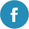 icone facebook